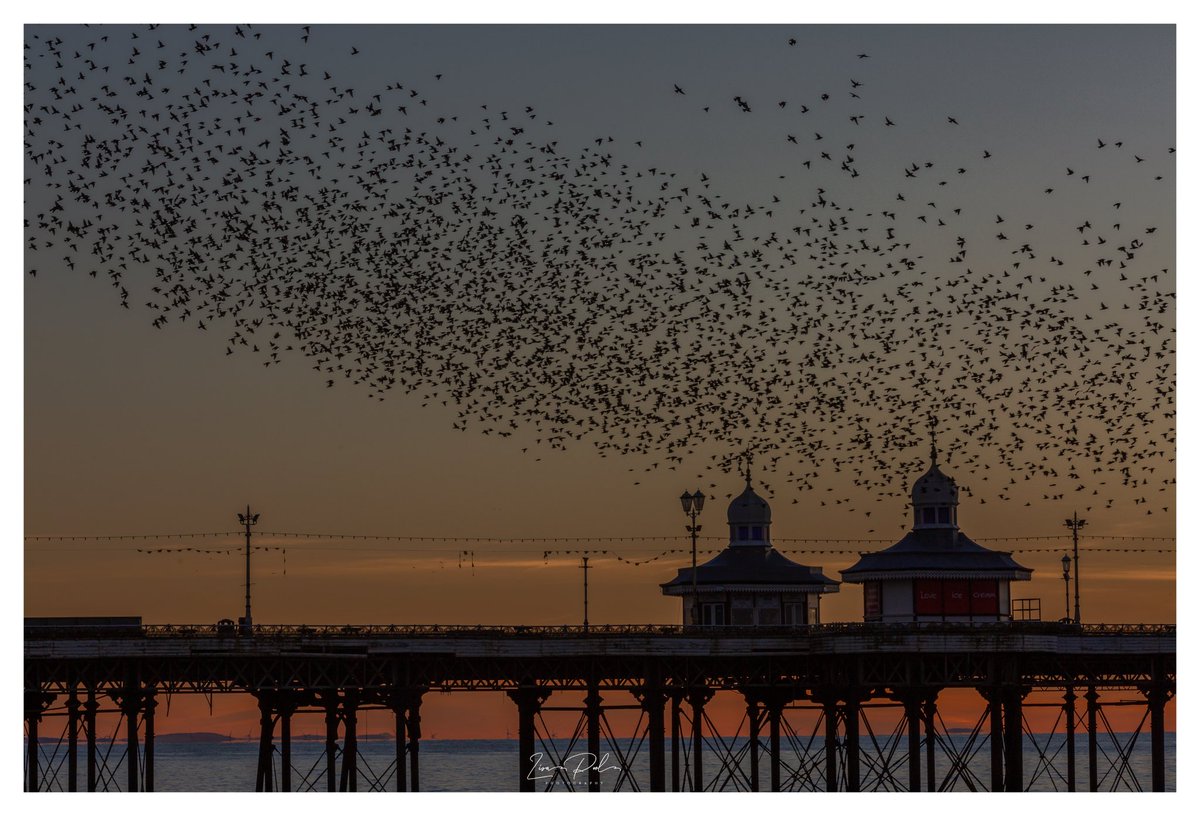 Starling Murmuration over north pier #blackpool #lancashire @StormHour @ThePhotoHour @Natures_Voice