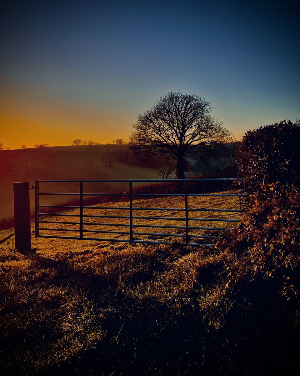 AledHall's tweet photo. Machlud hollol fendigedig ond ma’r awyr ‘na’n glir ac felly mae’n mynd i fod yn blydi oer heno gyfeillion…Nos da ❄️ x
Absolute belter of a sunset but that sky is clear which means it’s gonna be bloody cold tonight…Nos da❄️ x
@StormHour @ThePhotoHour
#Gonnabeacoldone ❄️❄️❄️ https://t.co/I29chlPQTO