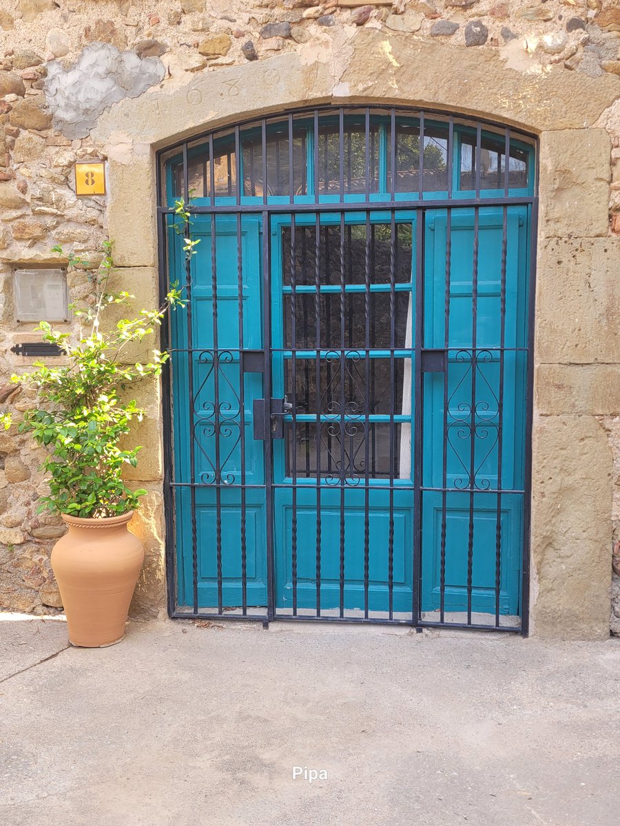 pipapipia's tweet photo. A blue and very reinforced door. But it has its charm. 😘💙 https://t.co/18mR12UsYM