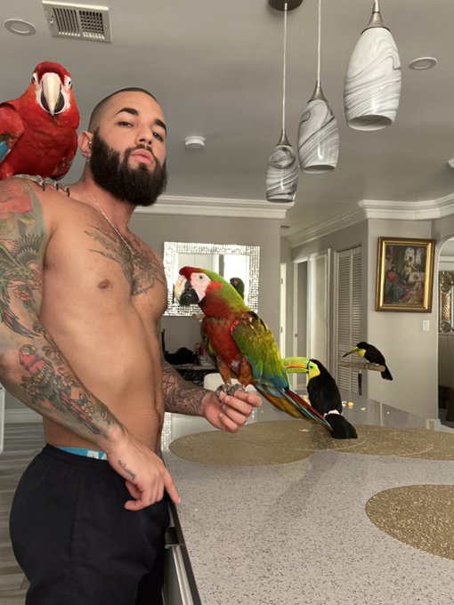 Gonna buy them a huge ranch one of these days ☝️ #freeflight https://t.co/ghSReZ3g5C<a href="/tag/freeflight"class="tags"><span>#freeflight</span></a>