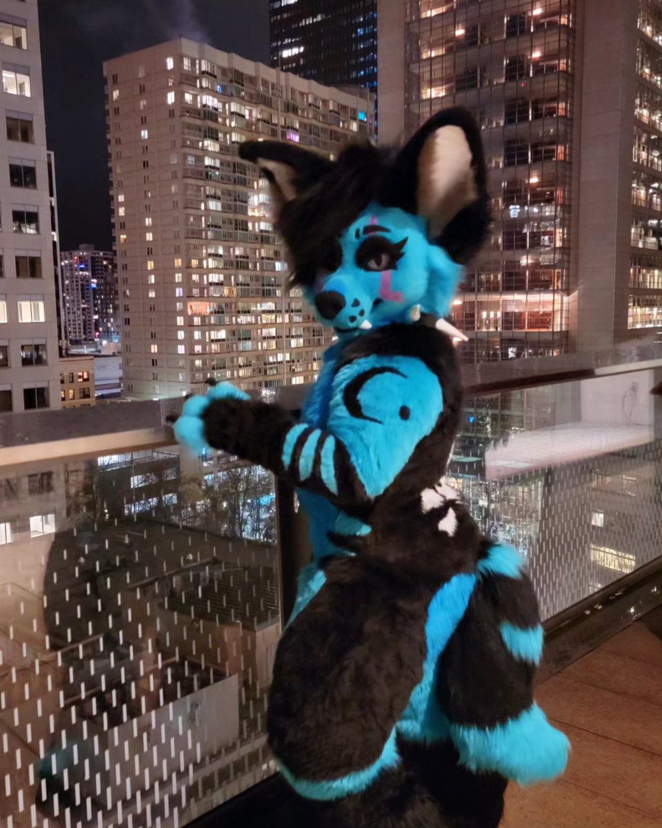 Gotham City 🌃

#furry #fursuit #furryfandom #ANW #AnthroNorthWest