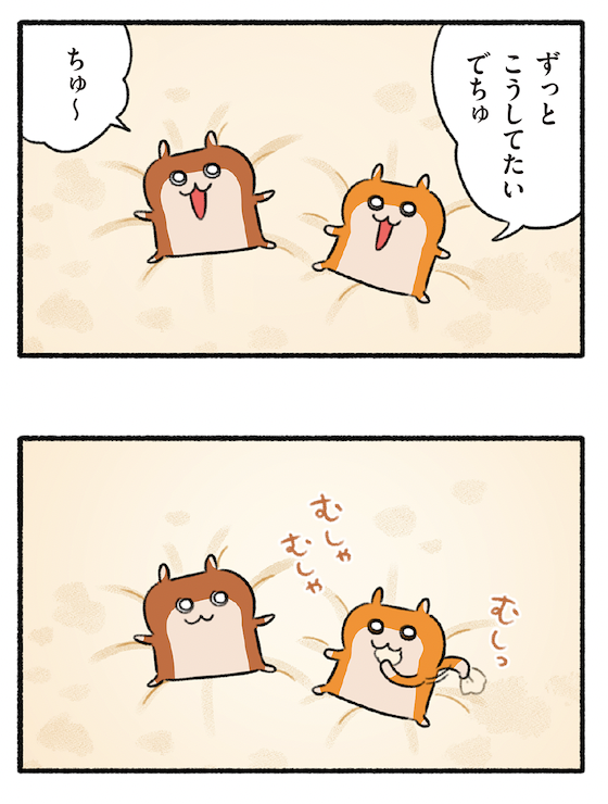 (2/3)