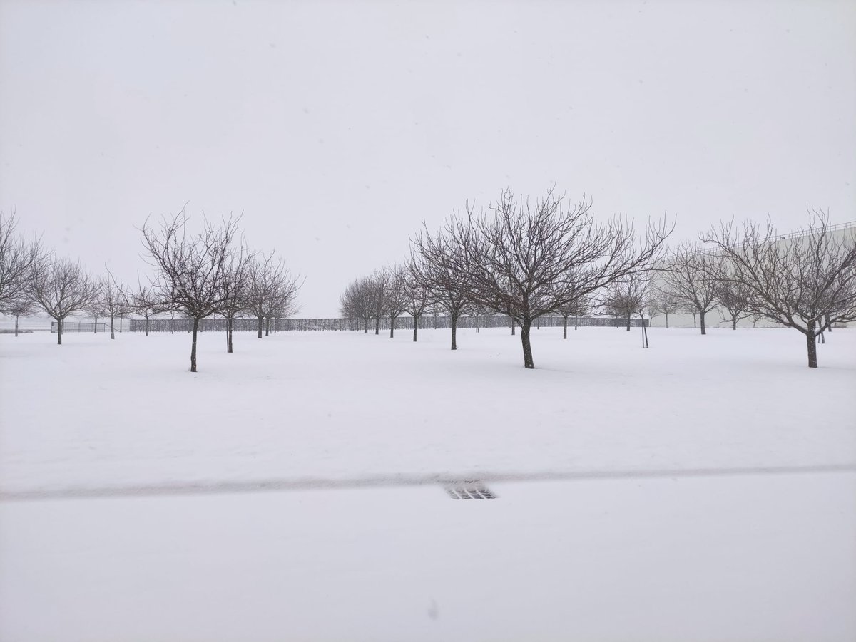Elle était attendue ❄️ 

La neige a recouvert notre site de Cappelle-en-Pévèle !