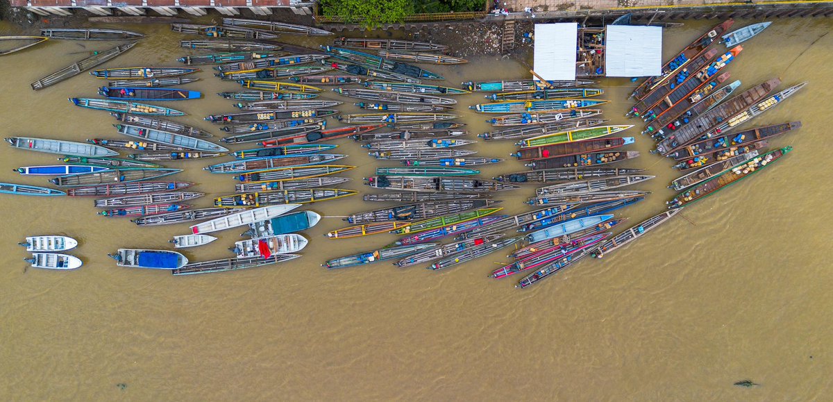 Aurora Vergara-Figueroa, Ph.D tweet media