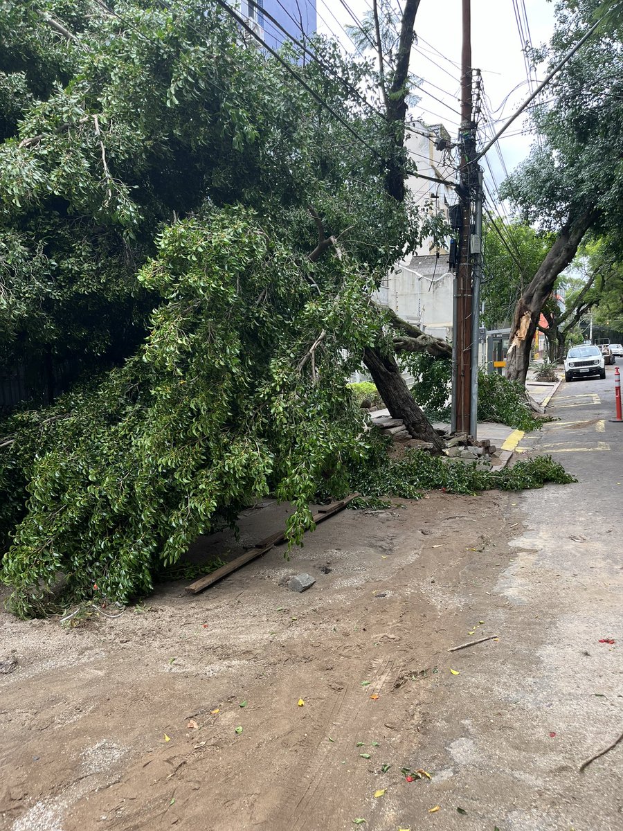 Lebehs's tweet photo. Sem luz, sem internet e quase sem água no prédio por motivos de…
#BomFim
#Caos
#Temporal
@Prefeitura_POA https://t.co/ynaCEp7P0u