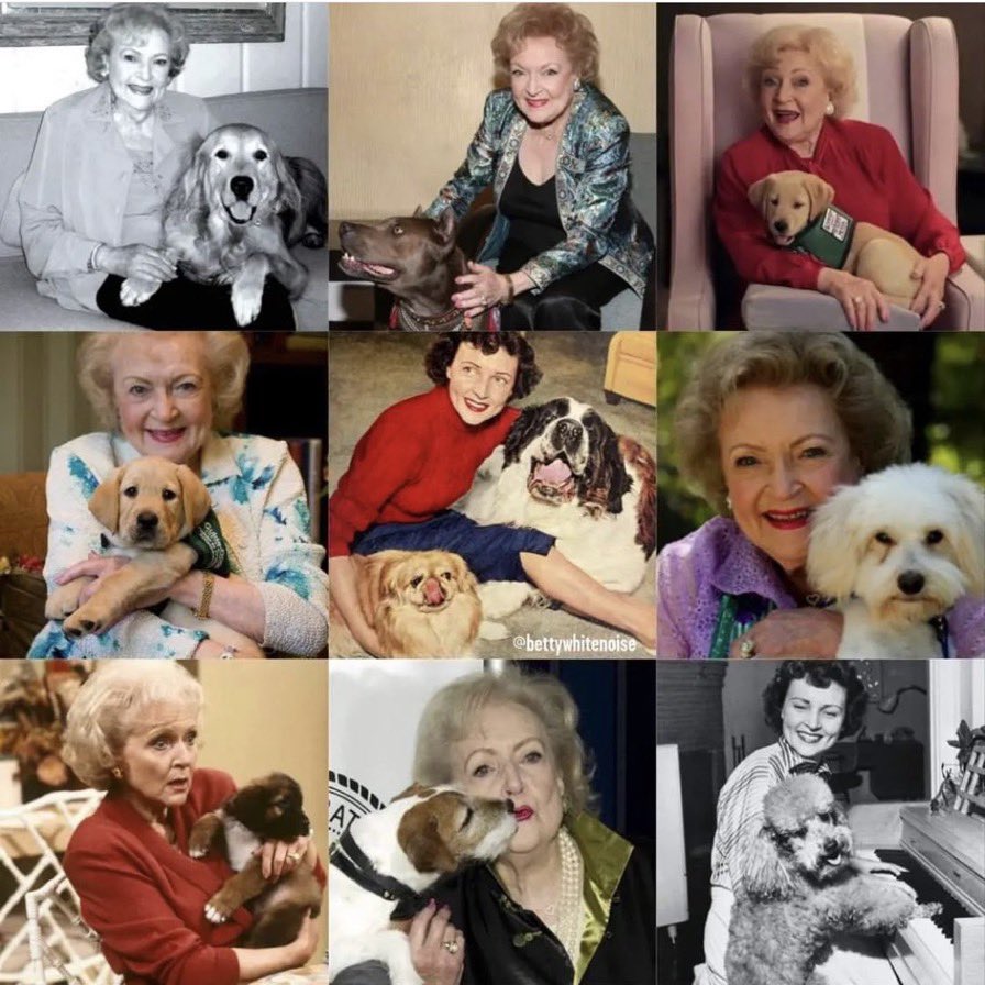 In honour of Betty White, people are once again coming together to donate to an animal organization of their choice. We hope you will join in &amp; consider donating to Bullies in Need or any other organization that is close to your heart. Link in bio ❤️🐶#thankyouforbeingafriend