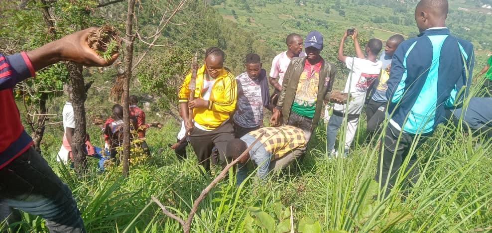 CnddFddBuhumuza's tweet photo. #Burundi Kuruno musi igenekerezo rya 17/1/2024 Umukuru w'umuhari w'Imbonerakure mu ntara nziza ya #Buhumuza yasanze kubikorwa Imbonerakure zo muri komine yagutse ya  #Ruyigi aho bariko batera ibiti k'umutumba wa #Mpungwe.
@CnddFdd 
@R_Ndikuriyo 
@DorianeMunezero https://t.co/2PcSqnql5Z
