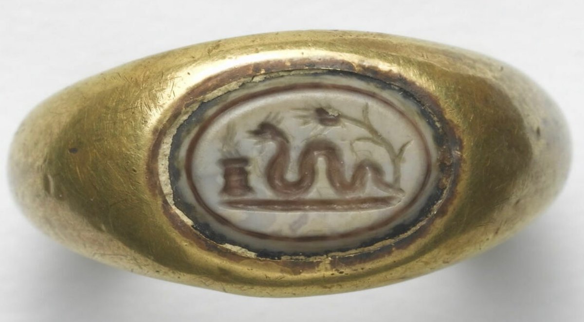 grey👽ham🐖boar🐗land🗻 tweet media