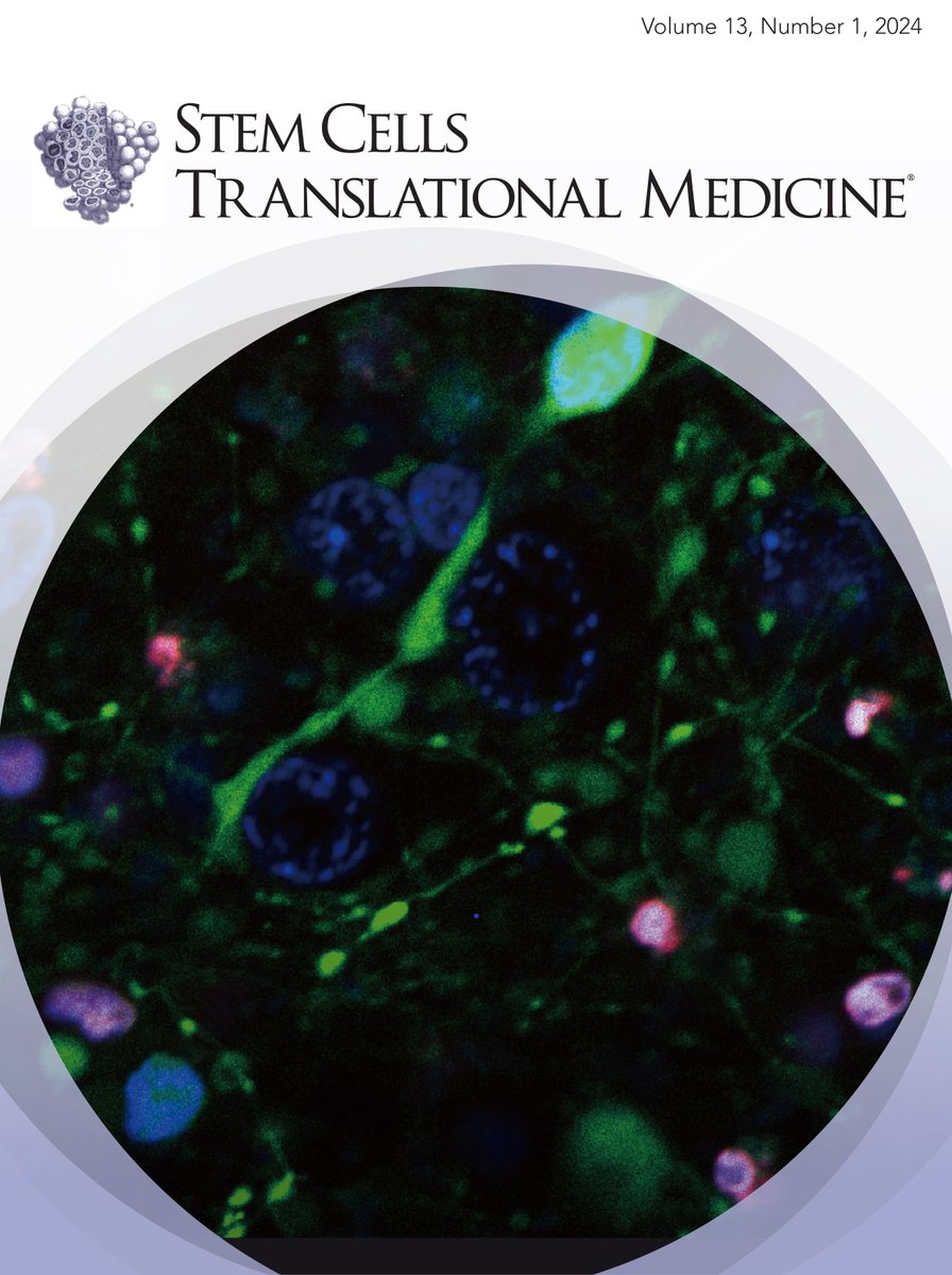 Read the January 2024 issue of Stem Cells Translational Medicine, now online @OxfordJournals: academic.oup.com/stcltm/issue/1… #openaccess #stemcells