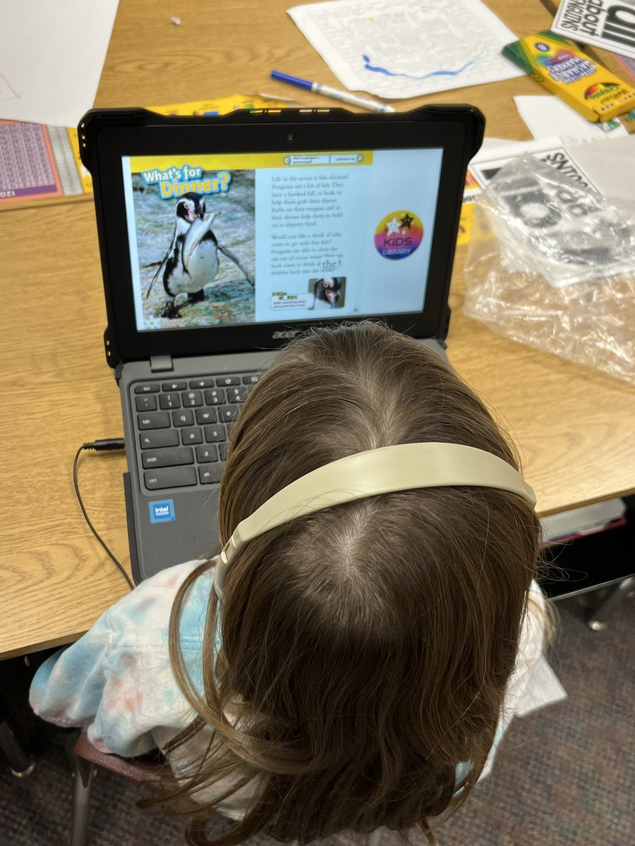 Mrs. Cooke (@mrscookefirst) on Twitter photo We started our research on polar bears and penguins! ๐ปโโ๏ธ๐ง<a href="/KenstonTES/">Kenston TES</a> #kenstoninspired We started our research on polar bears and penguins! ๐ปโโ๏ธ๐ง<a href="/KenstonTES/">Kenston TES</a> #kenstoninspired