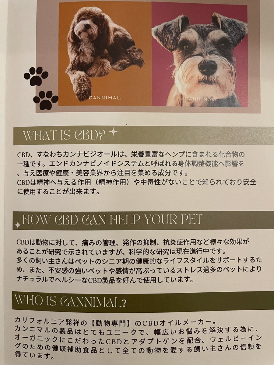 pinot1996's tweet photo. マウル君には獣医さんと相談の上でCBDオイルを投与する事にしました。カンニマルというアメリカの動物用CBDオイルです。CBDは大麻抽出成分で人間のてんかん治療にも使われています。カンニマルジャパンさんのネットショップ から取り寄せました。良い効果をもたらしてくれる事を期待しています。 https://t.co/0RTtjbNIyK
