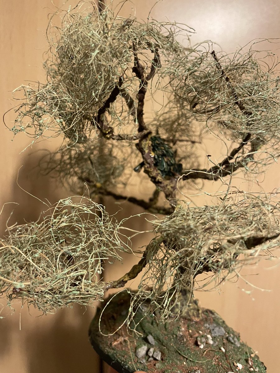 GrahamTopham's tweet photo. @MiniApothecary Recently finished this sniper in a tree (tree is wire covered in polyfilla, horsehair for leaves and cardboard and polyfilla base) and starting on the next one https://t.co/gOx6EuXWx2