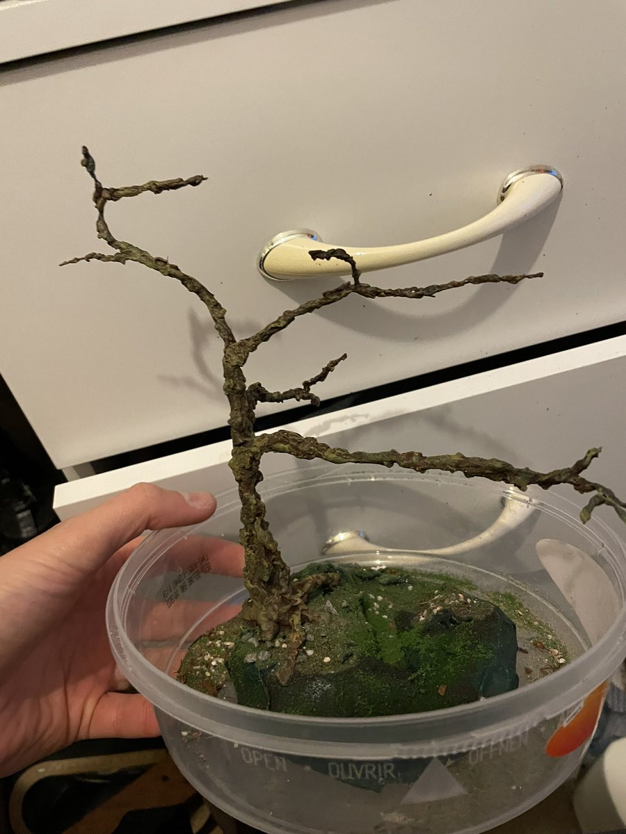 GrahamTopham's tweet photo. @MiniApothecary Recently finished this sniper in a tree (tree is wire covered in polyfilla, horsehair for leaves and cardboard and polyfilla base) and starting on the next one https://t.co/gOx6EuXWx2