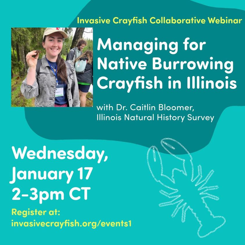 Learn all about the conservation of native crayfish species and the development of the American Crayfish Atlas at <a href="/BloomerCaitlin/">Caitlin Bl🦞🦞mer, PhD</a>'s webinar TODAY (Wednesday Jan 17) at 2 PM CT/3 PM ET - register here: invasivecrayfish.org/events1