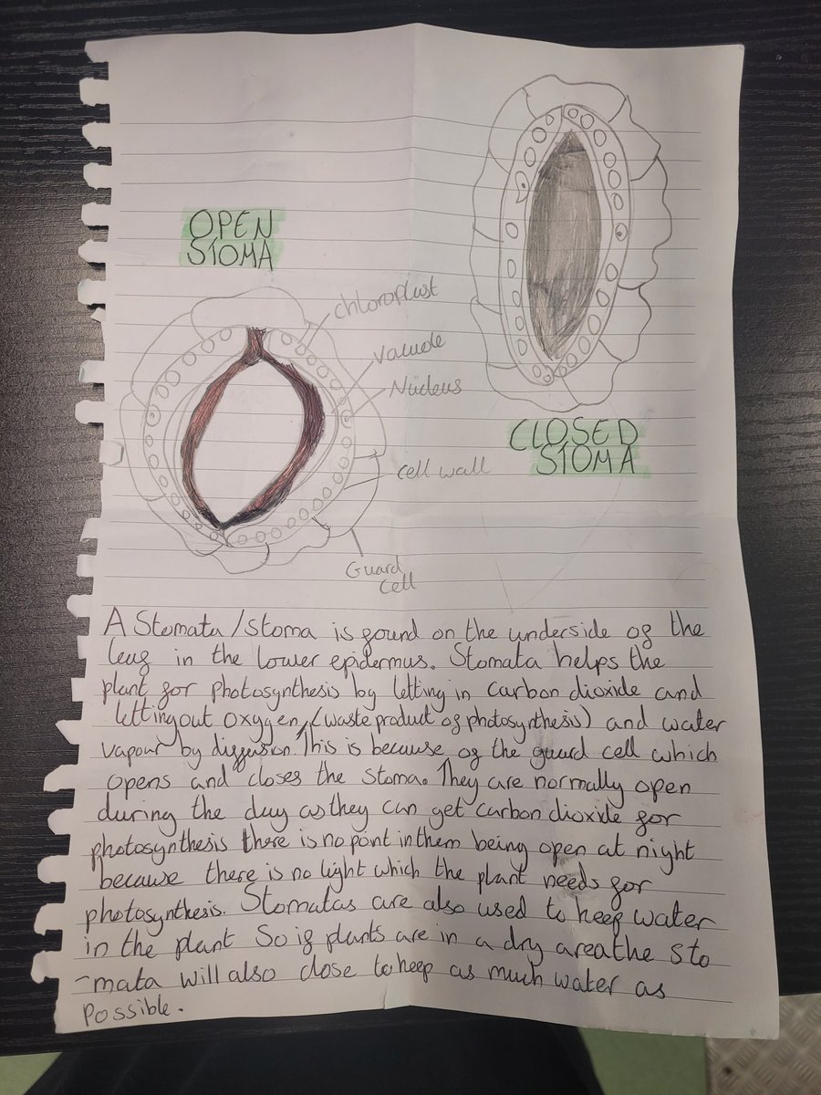 Nancy Jessiman-Wiltshire tweet media