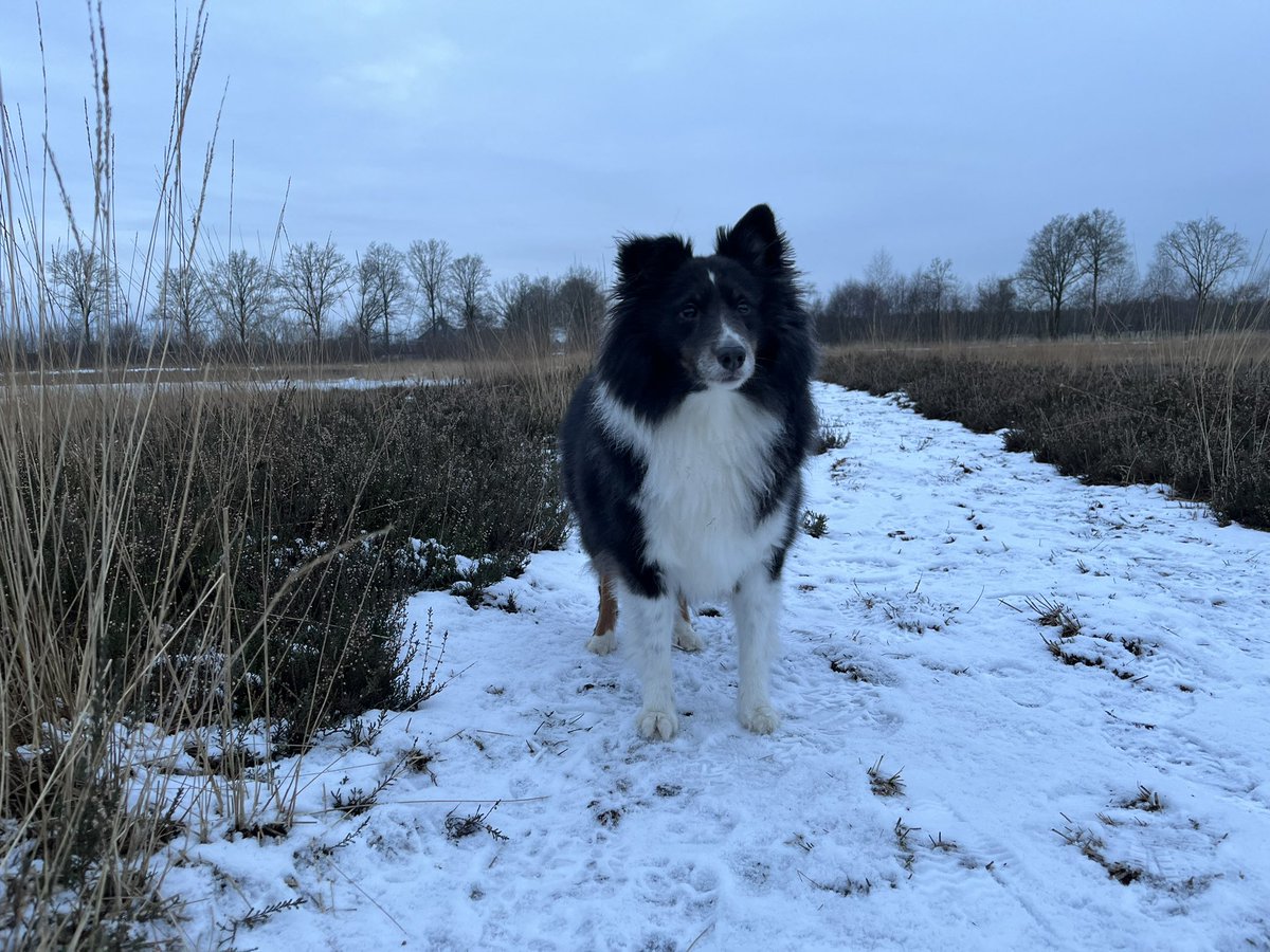 Even de koppies leegmaken