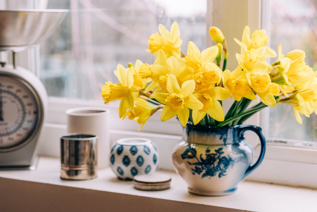 It’s a grey, grey day and that time of the year when it feels like winter will last forever but it’s also the time of the year when Tesco sells little bundles of daffodils for £1 so 💛
