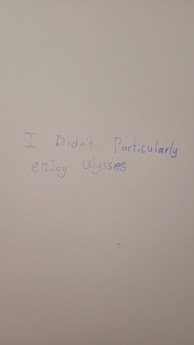 Wall of men's toilet in University of Galway, January 2024
