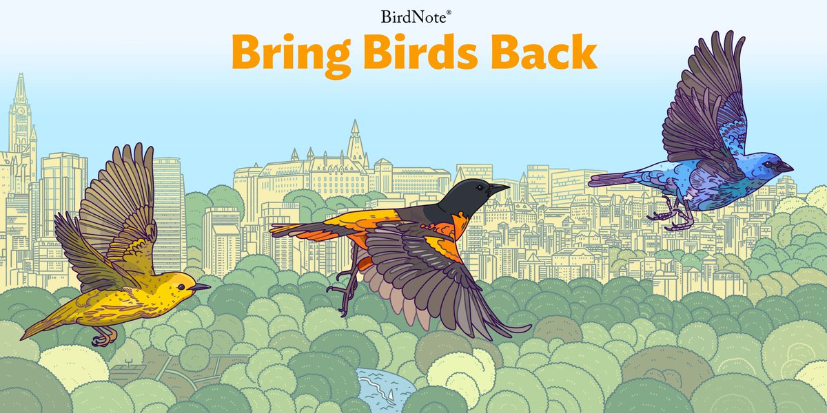 We are truly honored to be featured along some of these environmental GIANTS! birdnote.org/podcasts/bring… #newyear #wehere