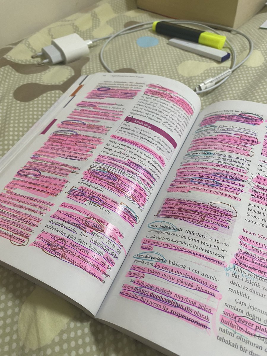 aynen kanka sadece önemli yerlerin altını çizdim