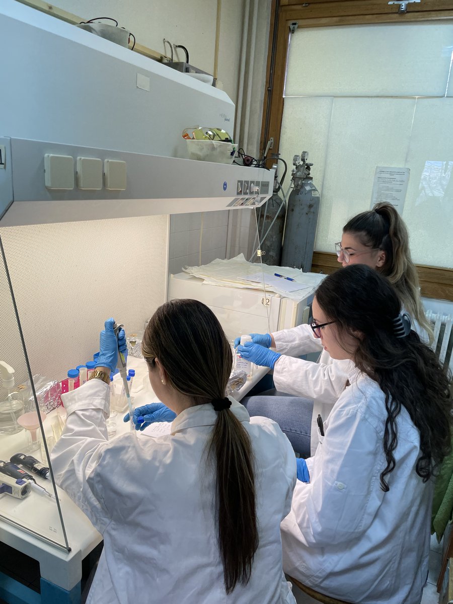 MitoRebels's tweet photo. Today, we had a successful isolation of Leydig's cells from the mouse. Our master students Sanja, Slavica and Natalija did a great job! It is a pleasure to work with great young people.  Good job! 💯👏❤️ https://t.co/qmJwpuHSSe