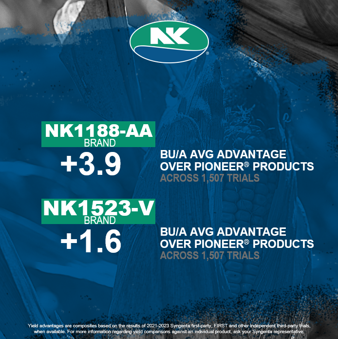 NK Seeds tweet media