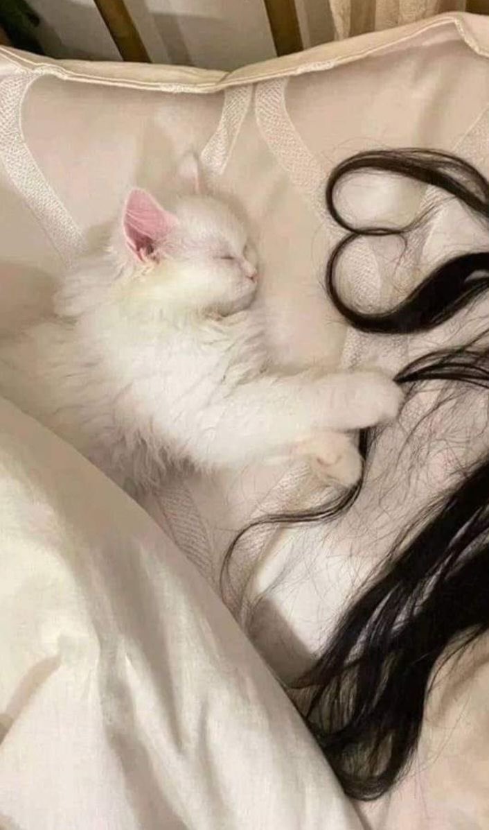 😭❤️
