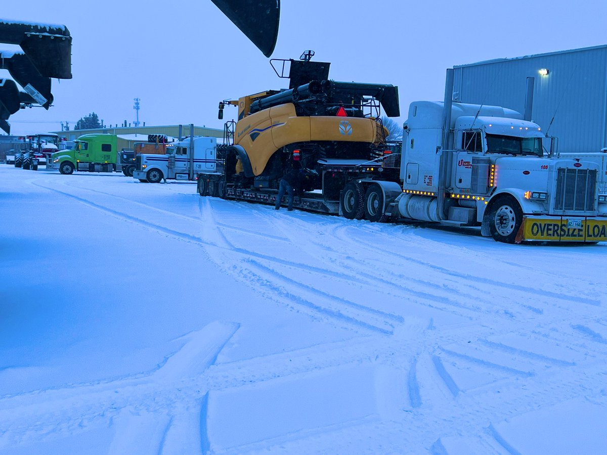 Trevor Brady tweet media