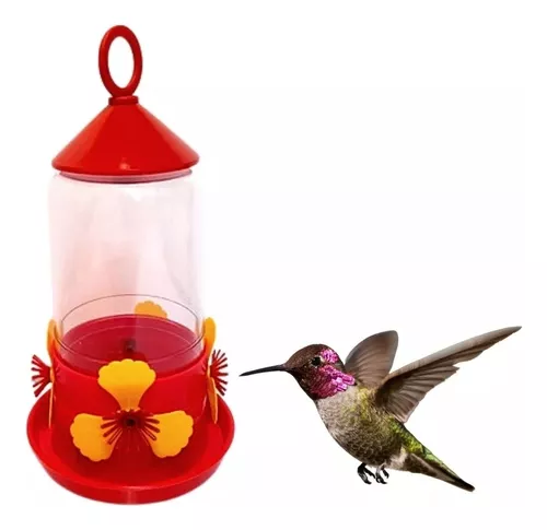 Lupeirone's tweet photo. Por qué NO recomendaría estos bebederos para atraer colibríes:

(además de que me parecen espantosos) https://t.co/xHYRZxC0s9