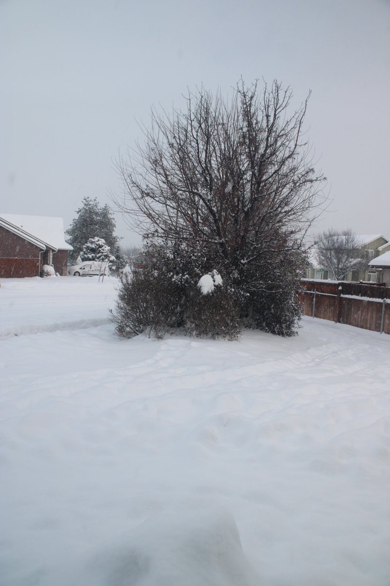 Supr3m3DAngel's tweet photo. Never had this much snow in my state
#snow #snowyday #winter #outside #beautifulday #beautiful #beautifulsnow https://t.co/J4pJ00bE5D
