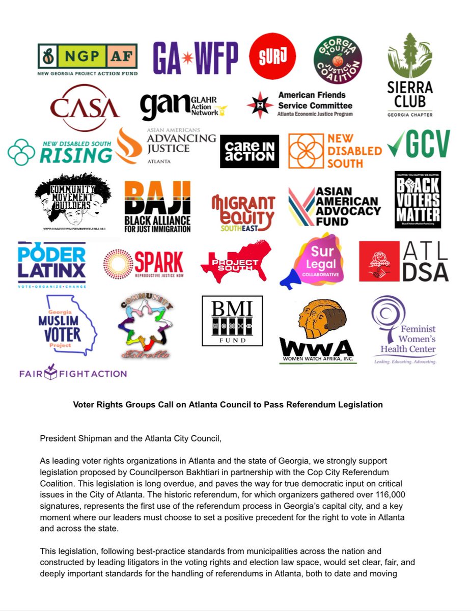 New Georgia Project Action Fund tweet media