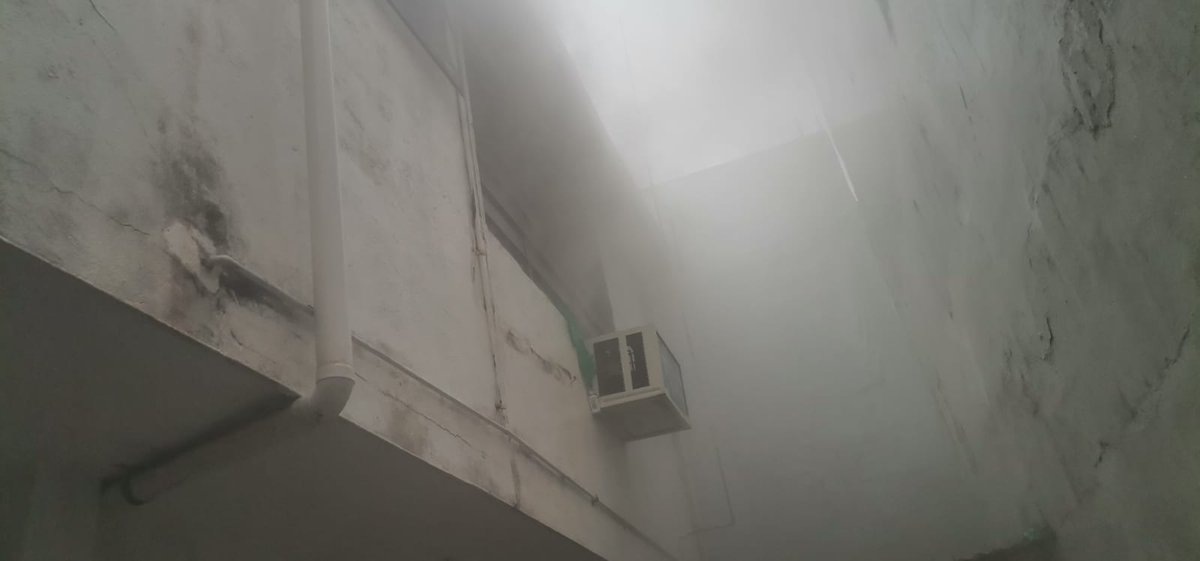 #Entérate| El @ProcivilTabasco informa de un incendio de casa habitación fue controlado esta mañana por personal de bomberos en la calle Pepe del Rivero, Col. #GaviotasNorte, #Centro.
Afortunadamente, no se registraron personas lesionadas.

#EnlaceTabasco