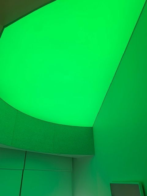 tls_lighting's tweet image. Did you know that color has the power of conveying a certain mood, drawing the eye in a certain direction and evoke different feelings? Our Aurora Light Engine is programable for up to 16.7 million colours, producing a seamless colour-lighting experience. Isn&apos;t that stunning? 🎨