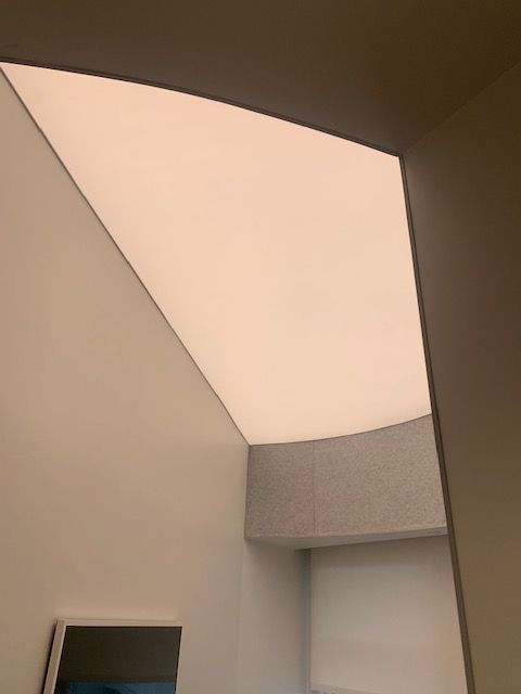 tls_lighting's tweet image. Did you know that color has the power of conveying a certain mood, drawing the eye in a certain direction and evoke different feelings? Our Aurora Light Engine is programable for up to 16.7 million colours, producing a seamless colour-lighting experience. Isn&apos;t that stunning? 🎨