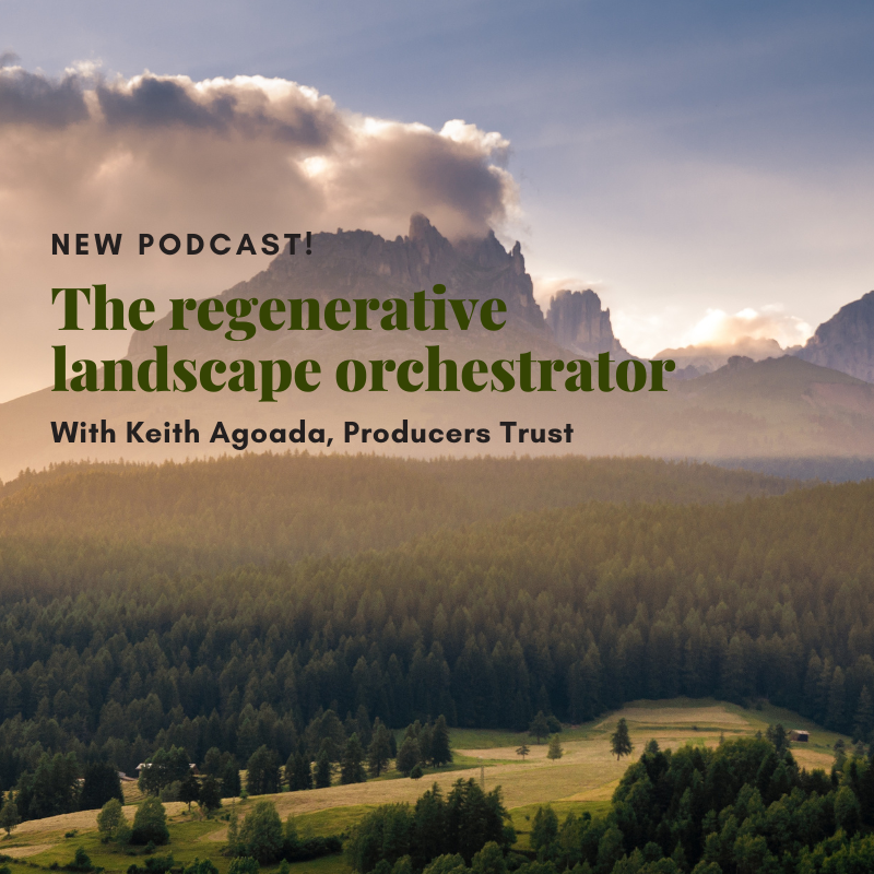 A conversation with Keith Agoada, CEO and co-founder of Producers Trust, a company which is now turning into a #regenerative #landscape orchestrator, discussing why we are in the perfect storm in #regenerativeagriculture, packaging, processing, and more ➡️ lnkd.in/dzCKxFRK