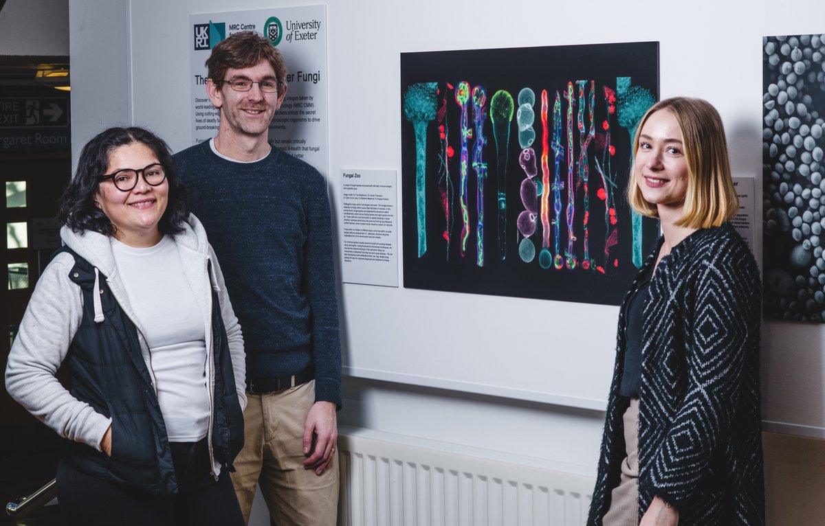 MRCcmm's tweet image. The Fungal Zoo is on display as part of the Hidden World of Killer Fungi exhibition in the Queens Building, Streatham Campus until 29th March @artsandculturex 

📸 fabulous microscopy (and modelling!) by @forestcita @fungalhyphae @tina_bedekovic @MalamudMariano @AlyssaHudson83