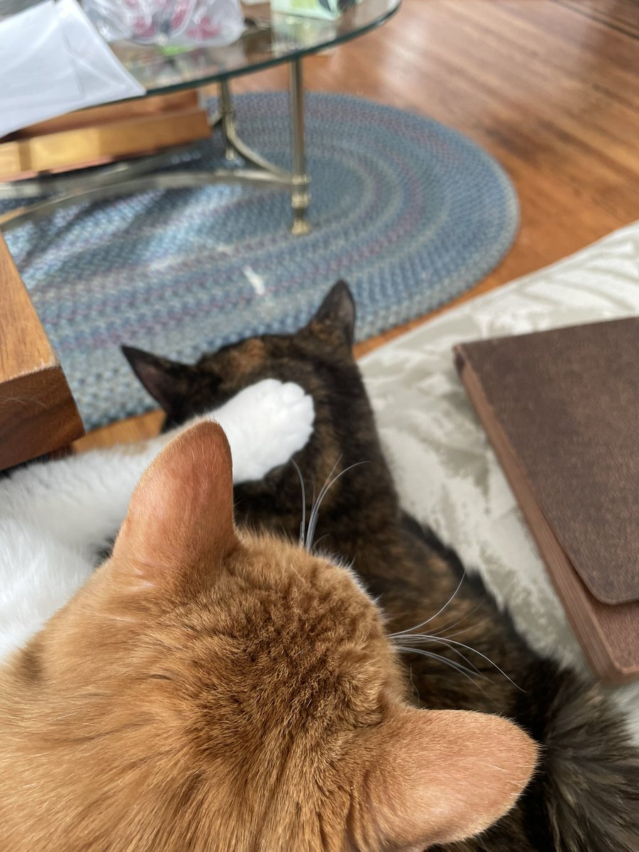 🛸 Happy Pub Day! I have a story in 
<a href="/EclecticaMag/">Eclectica Magazine</a>, a mag featuring high-quality fiction since '96. SKINTET is SF abt a HS jazz band guitarist who makes an earth-shattering decision. Thanks esp. to Joe, Phil, Jessi, &amp; editor Tom for their eyes &amp; opinions🛸
eclectica.org/v28n1/genovesi…