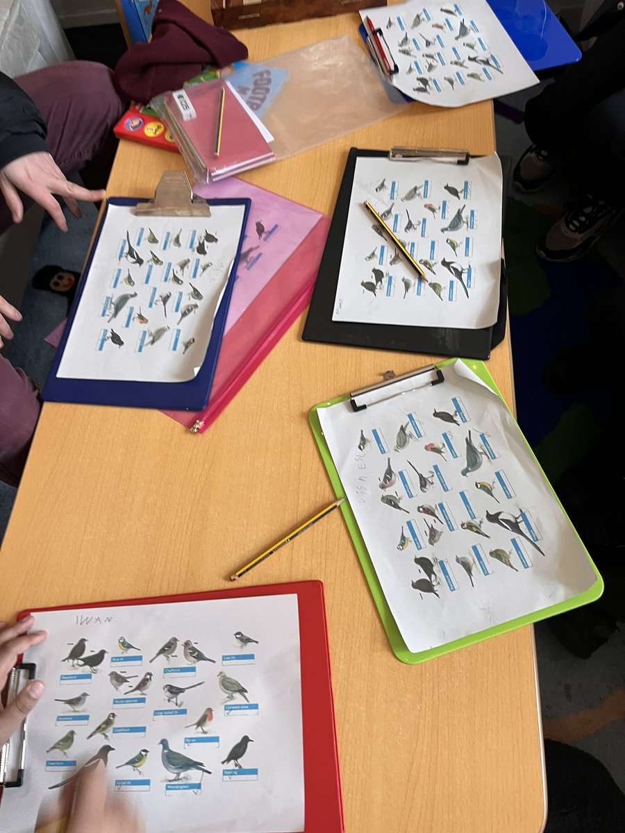 LeithWalkPS's tweet image. Doing a wee pre #bigbirdwatch survey today was our Outdoor Learning Group. Next week they will make seed balls and then survey again to see what impact us contributing has. Another Lighthouse group full of enthusiasm and learning