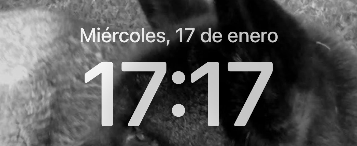candela_fu's tweet photo. 17:17 del 17 https://t.co/OstzHVZnf9