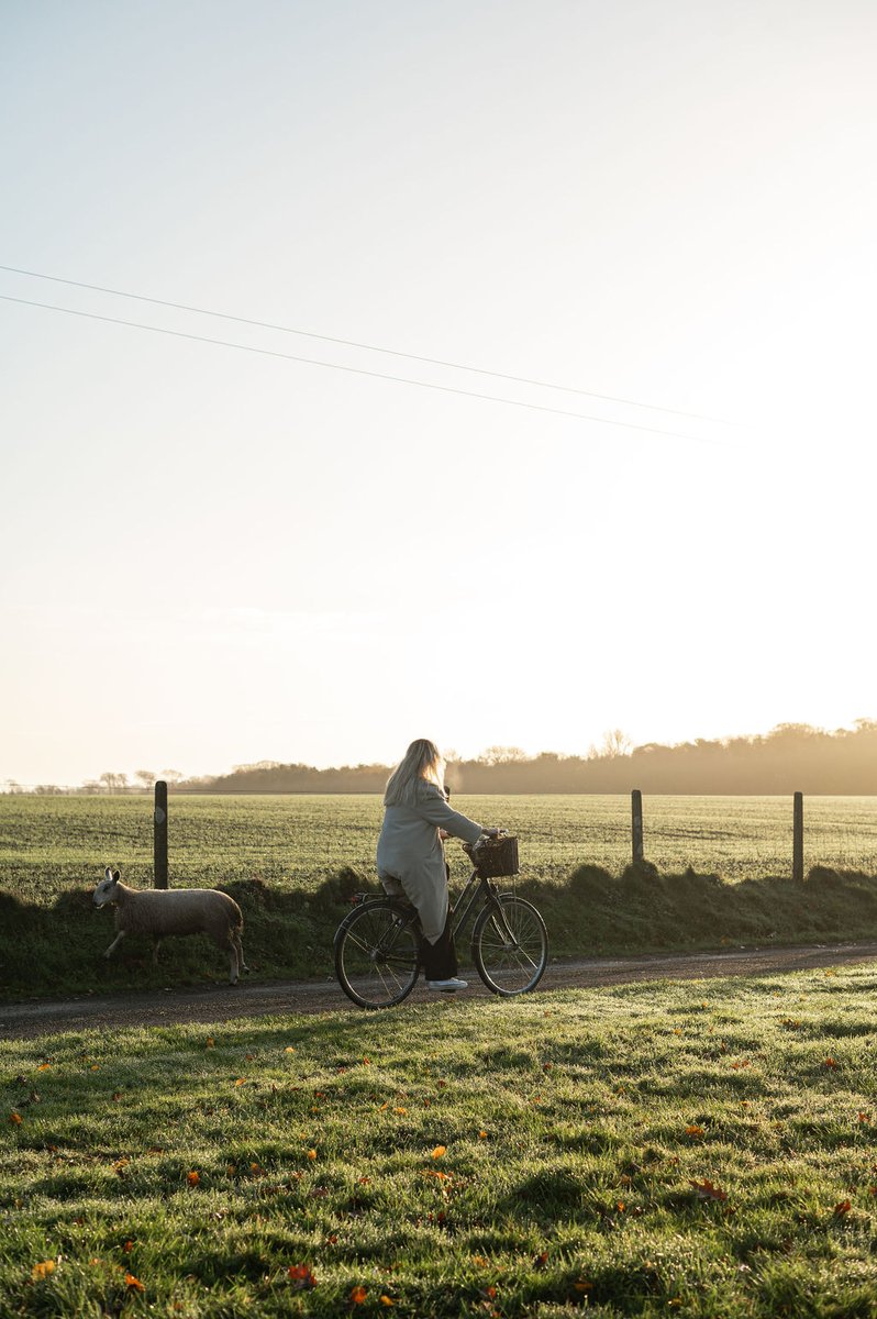 Ireland's Blue Book (@irelandbluebook) on Twitter photo Escape to serenity with <a href="/Ballymaloe/">Ballymaloe House Hotel</a> 2-night Yoga Retreat. Immerse yourself in daily yoga sessions, nourishing cuisine, and the natural beauty of Ballymaloe 💛
Click the link to book!
secure.ballymaloe.ie/convert/site/B… Escape to serenity with <a href="/Ballymaloe/">Ballymaloe House Hotel</a> 2-night Yoga Retreat. Immerse yourself in daily yoga sessions, nourishing cuisine, and the natural beauty of Ballymaloe 💛
Click the link to book!
secure.ballymaloe.ie/convert/site/B…
