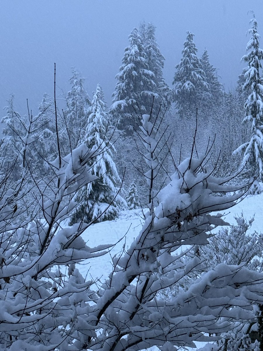 Snow ❄️ has come to our west coast—stay safe everybody.🙏🏽 #BCSnow @tsleilwaututh ⛄️