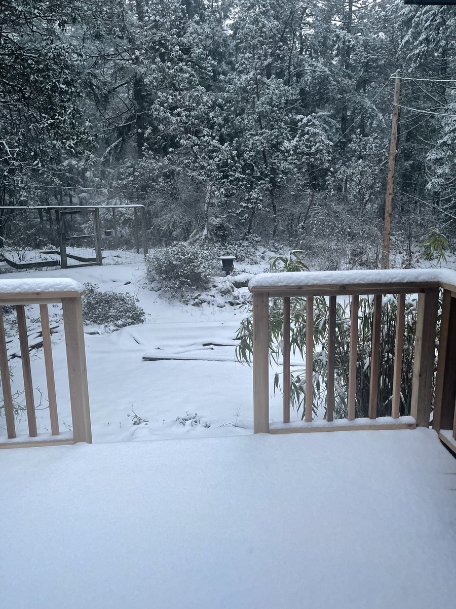 BluΞ 😈🛠 tweet media