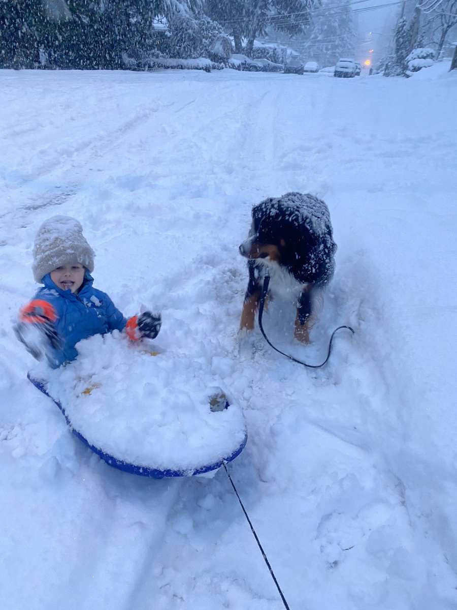 Johanna Wagstaffe tweet media