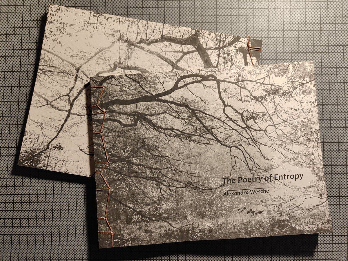 aw_landscapes's tweet photo. Assembly of the last two copies of my handmade book 'The Poetry of Entropy'. Both are still available.
#handmadephotobook #handmadebook #photobook #artistbook https://t.co/3kfvyRqirn
