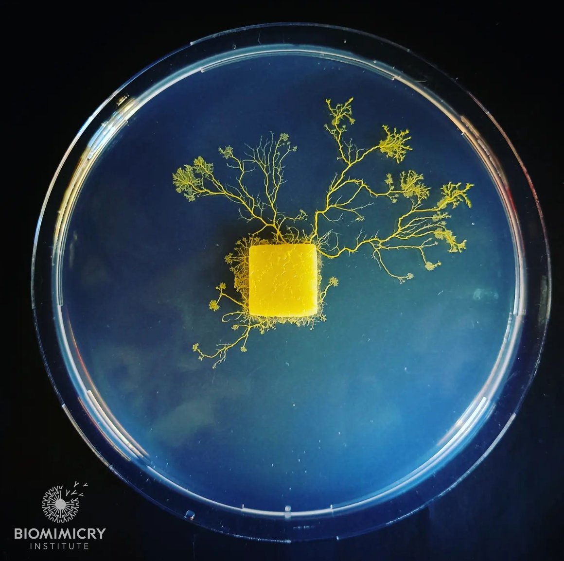 joinST&Me tweet media