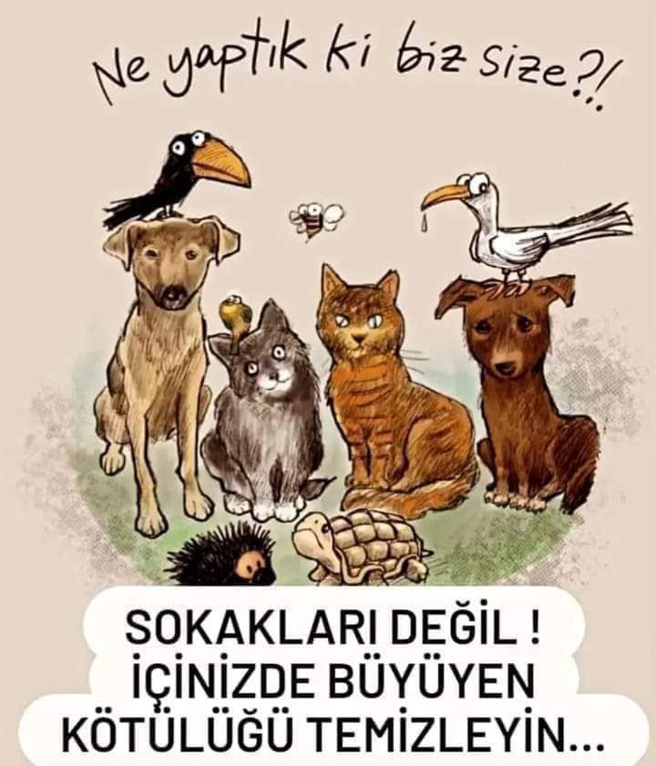 Ne yaptılar size ey zalimler