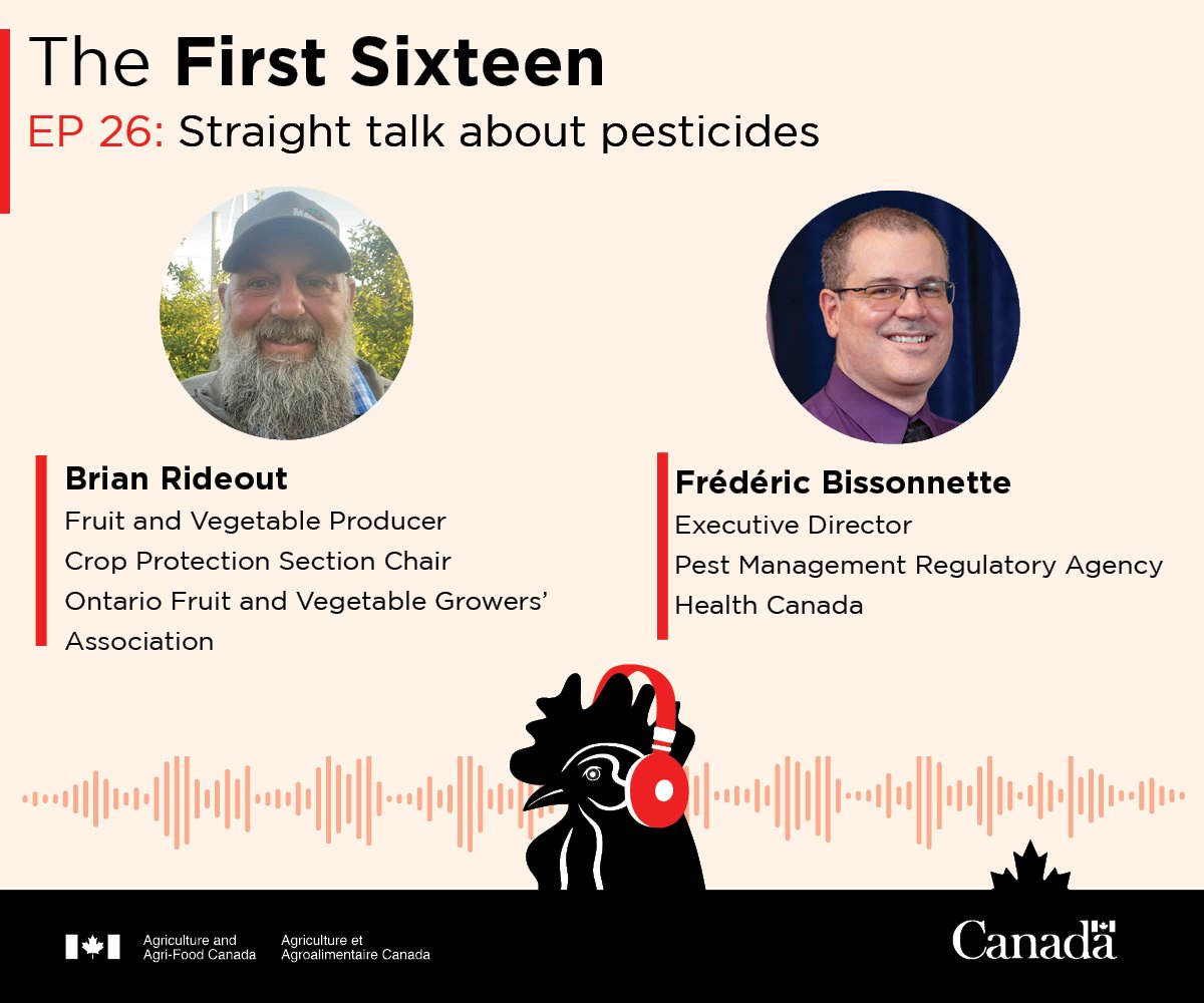 A new episode of #TheFirstSixteen is out now! Hear from fruit and vegetable grower Brian Rideout @OntFruitVeg and @GovCanHealth’s Fred Bissonnette about #CdnAg’s responsible use of crop protection products: ow.ly/iKig50QrIAX