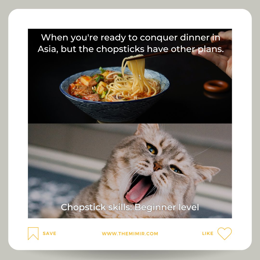 Chopstick skills: Beginner level 😂
The Mimir Magazine: Learn Chinese and Beyond.
#chinesestudy #chineselearning #dailychinese #learnchineseonline #mandarinchinese #learningmandarin #chinesememe #themimirmagazine #themimirchinese #meme
