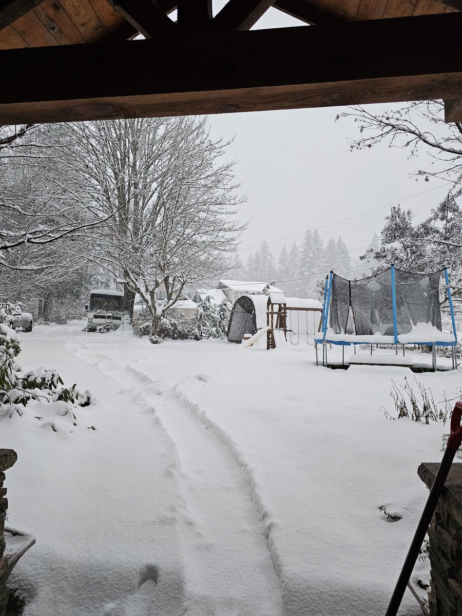 Kl_Locke's tweet photo. @50ShadesofVan It's hard to tell in the photo, but it's snowing real good atm (has been since last night). Shawnigan Lake https://t.co/Gsd0Hv6hoW