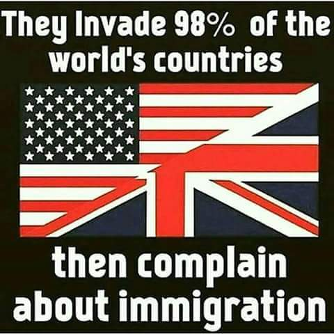 Angry Cats tweet media